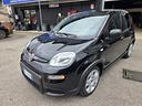 fiat-panda-1-0-firefly-s-s-hybrid-5-posti-