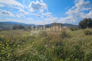 Terreno ad 1 km dallo svincolo di Bagheria Ter/56