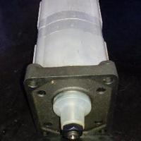 Pompa Doppia standard Gruppo 2