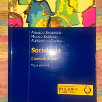 sociologia, i concetti base
