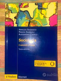 sociologia, i concetti base
