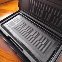 ROLI Seaboard Rise 25