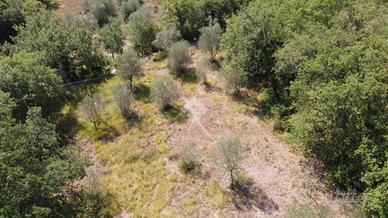 TERRENO A RIGNANO SULL'ARNO