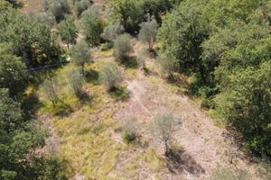 TERRENO A RIGNANO SULL'ARNO