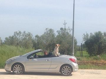 Automobile Peugeot 207 CC Cabrio