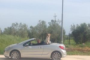 Automobile Peugeot 207 CC Cabrio