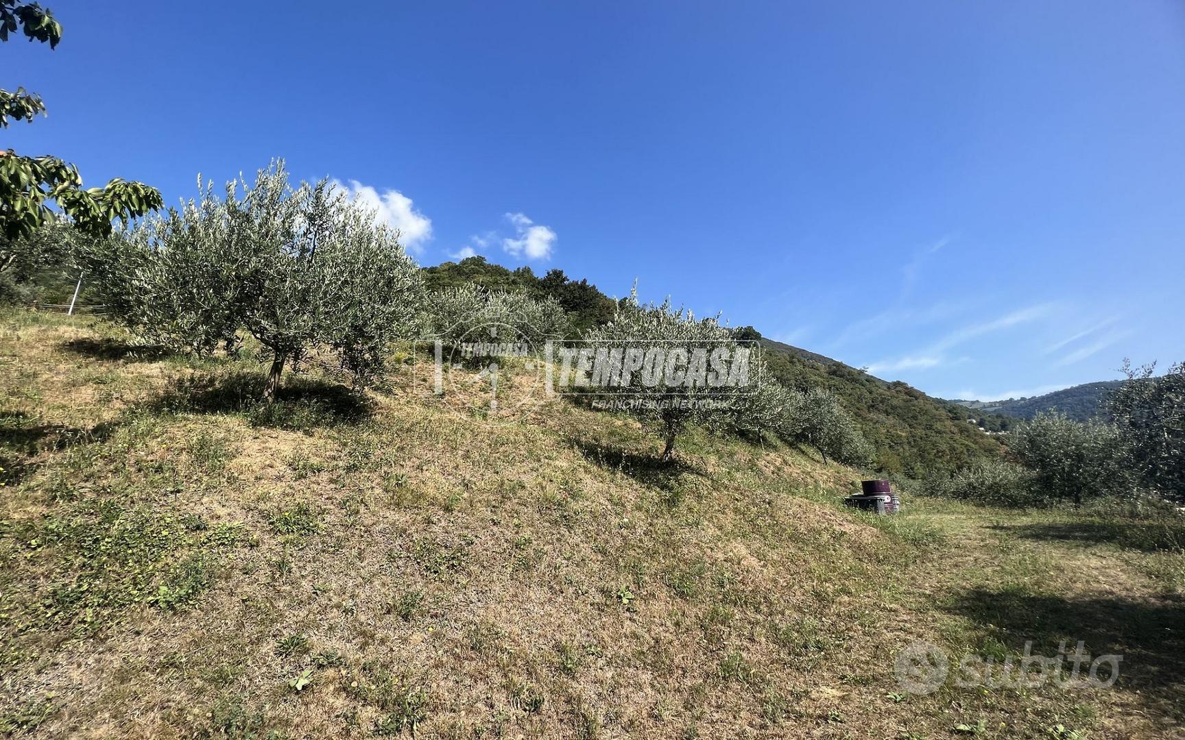 TERRENO AGRICOLO IN ZONA CENTRALE - Vista 5