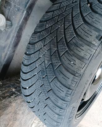 pneumatici invernali nexen