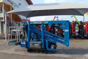 Ragno cingolato CTE 135