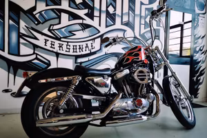 Sportster 1200 1994  34000km