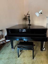 Pianoforte a coda