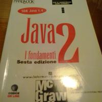 Libro programmazione Java