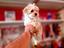Immagine 24