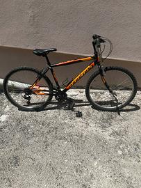 Bicicletta montana