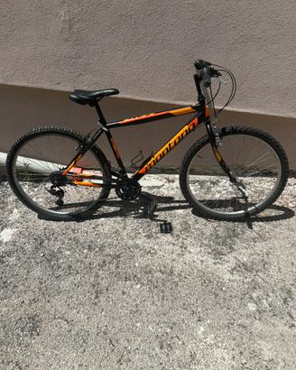 Bicicletta montana