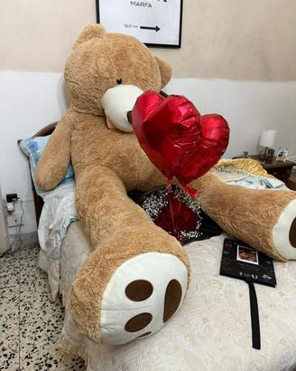 Orso gignate 2,90m