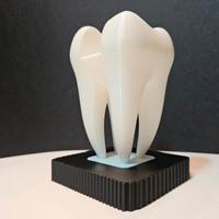 portabigliettini per dentista 