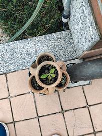 Tre Fioriere da terrazzo/giardino 