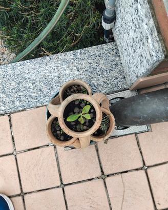 Tre Fioriere da terrazzo/giardino 