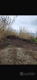 Vendita Terreno