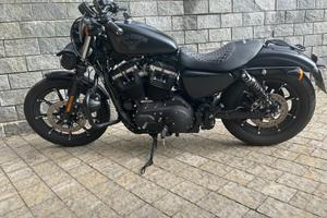 Harley Davidson 883 Sportster iron