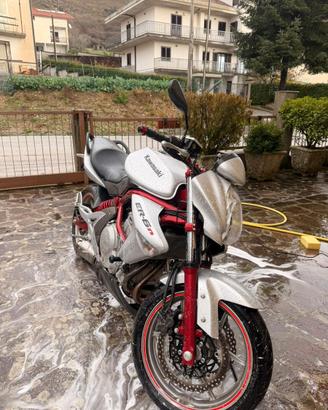 Kawasaki er6n