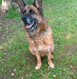 Cloe finirà i suoi giorni in un freddo box