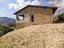 Immagine 11