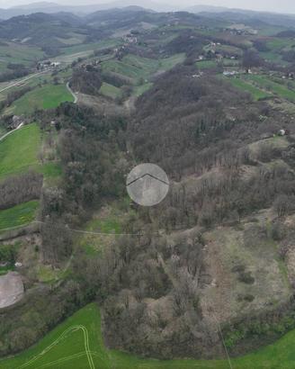 TER. AGRICOLO A FIDENZA