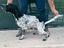 Immagine 5