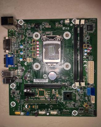 Scheda madre HP LGA1150 (FX-1SB-8X-3) 