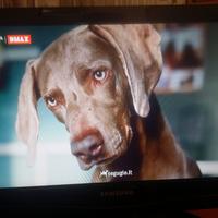 TV  Samsung 20 pollici DVB  integrato full hd