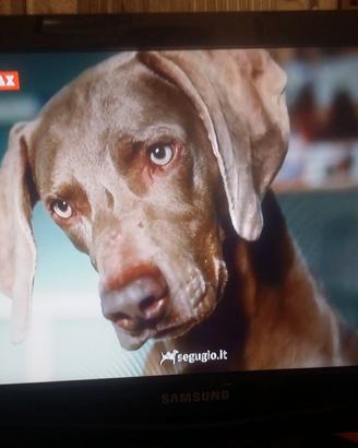 TV  Samsung 20 pollici DVB  integrato full hd