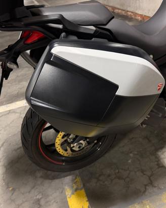 Ducati Multistrada 950 2017-21 borse laterali
