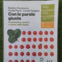 Con le parole giuste Zanichelli 