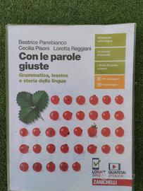 Con le parole giuste Zanichelli 