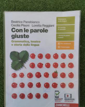 Con le parole giuste Zanichelli 