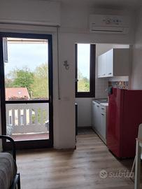 Monolocale ben suddiviso con terrazzino-PASTEUR M1