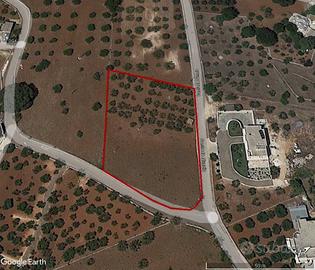 Terreno di 3500 m² a Locorotondo