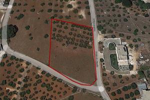 Terreno di 3500 m² a Locorotondo