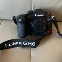 LUMIX GH6+OM M.ZUIKO DIGITAL ET-M 45mm f/1.8