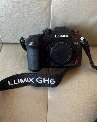 LUMIX GH6+OM M.ZUIKO DIGITAL ET-M 45mm f/1.8+CF EX