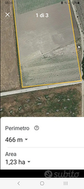 Terreno agricolo pianeggiante irriguo