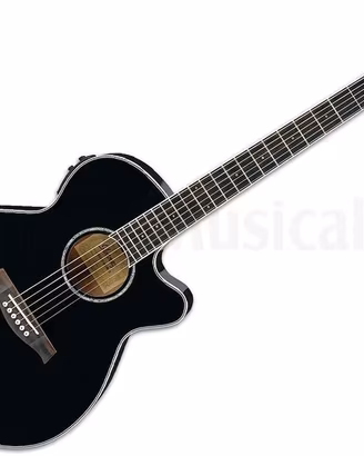 CHITARRA IBANEZ AEG 10IIBK+CUSTODIA+SUPPORTO NUOVA