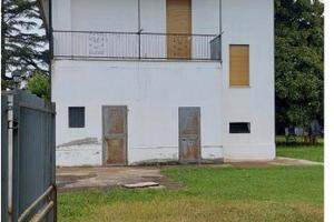 RGE 336/2019 Trib Pavia