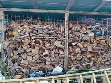 Legna di pino stagionata spaccata a mano