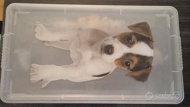 scatola portaoggetti Kis made in italy puppy