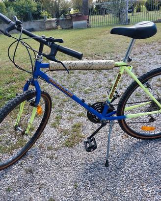 Mountain bike