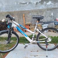 bici mtb