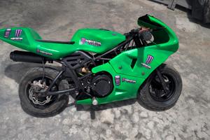 minimoto